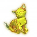 Kotek żółty