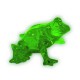 Light green frog
